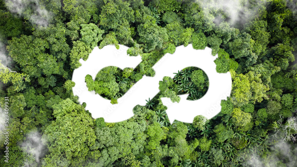 Circular economy icon. The concept of eternity, endless and unlimited ...