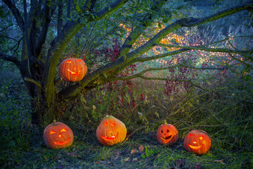 Wall Mural - Halloween pumpkins in night forest