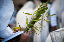 Closeup Of A The Hands Of An Orthodox, Jewish Man Holding An Etrog And Lulav During Prayer Services At The Western Wall In Jerusalem During The Festival Of Sukkot In Israel.