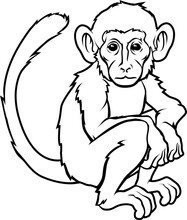 Stylised Monkey Illustration
