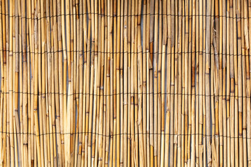 Sticker - Reed fence wall as abstract background.