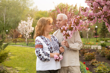 Wall Mural - Senior couple having fun in summer or spring nature near sakura blooming tree wearing Ukrainian embroidered shirt