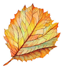 Wall Mural - brown autumn leaf cut out, digital illustration