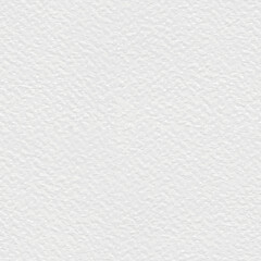 Seamless vector paper texture. White watercolor paper background.