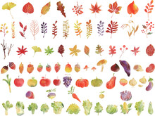 手描き水彩画 秋の紅葉 食べ物 イラストアイコン セット