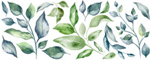 Set Of Watercolor Floral Illustrations PNG. Flower, Green Leaves Elements Collection - For Bouquets, Wreaths, Compositions, Wedding Invitations, Anniversaries, Birthdays, Postcards, Congratulations.
