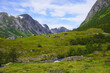 Aussicht auf die wunderschöne Natur bei Hjelledalen in Norwegen 
