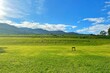 Mountain view green field with clear blue sky