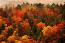 Autumn Forest - Beautiful Fall Colors, Orange, Yellow, Red And Green Trees