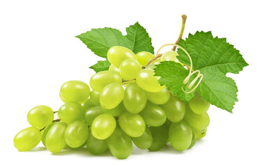 Grapes isolated. Bunch of ripe green grapes with leaves and vine on a white background.