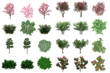 Wall Mural - Pack of PNG vegetation. +6K. Generic Bushes Made from 3D model for compositing