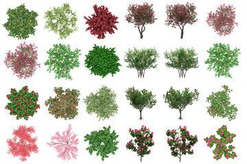 Wall Mural - pack of png vegetation. +6k. generic bushes made from 3d model for compositing