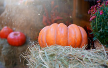 Blurred Thanksgiving Orange Pumpkins, Hay And Flowers. Autumn Background Banner.