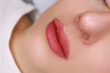 © Roman - work after permanent lip makeup work done with a red pigment tattoo machine