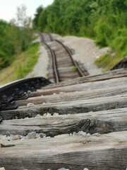 railway in the forest