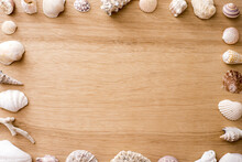 Old Seashell And Coral Background Border On Textured Wood Conceptual Of Summer Vacations, Marine Or Nautical Themes