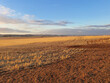 © Austockphoto - stubble paddock in late afternoon light