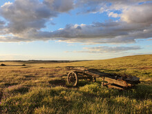 Old Wagon In Paddock At Sunset