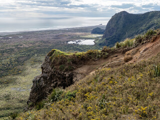 Wall Mural - Whatipu Gibbons Track. Veiw to Taranaki Bay.