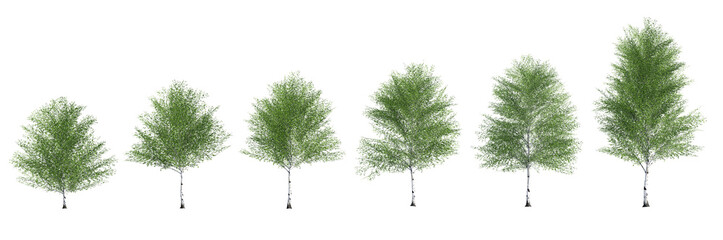 collection beautiful 3d trees isolated on pngs transparent background , use for visualization in arc