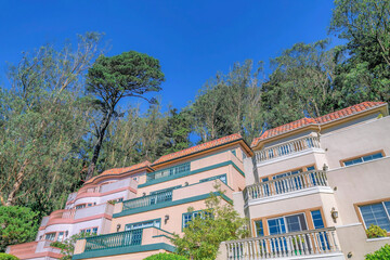 Canvas Print - San Francisco California residential houses with blue sky and trees background