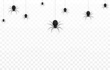 Vector Spiders On An Isolated Transparent Background. Background With Spiders For Design. Spiders PNG. Spiders Hang On Poutine PNG. Background For Halloween.