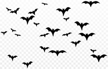 Vector Set Of Bats On An Isolated Transparent Background. Silhouette Of Bats PNG. Halloween Bats PNG. Black Bats.