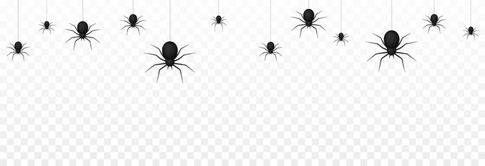 Vector spiders on an isolated transparent background. Background with spiders for design. Spiders PNG. Spiders hang on poutine PNG. Background for Halloween.