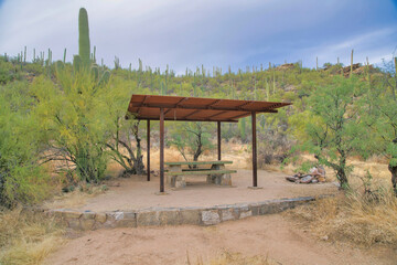 Wall Mural - Picnic table for hikers under pergola at Sabino Canyon Sate Park in Arizona