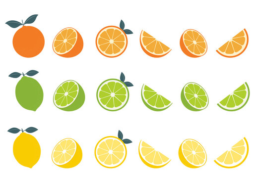 Big vector set of citrus fruits.Orange,lemon and lime icons on white background