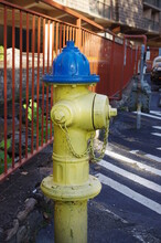 Yellow Fire Hydrant With Blue Cap