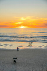 Canvas Print - Sea and beach at Del Mar Southern California with golden sun view at sunset