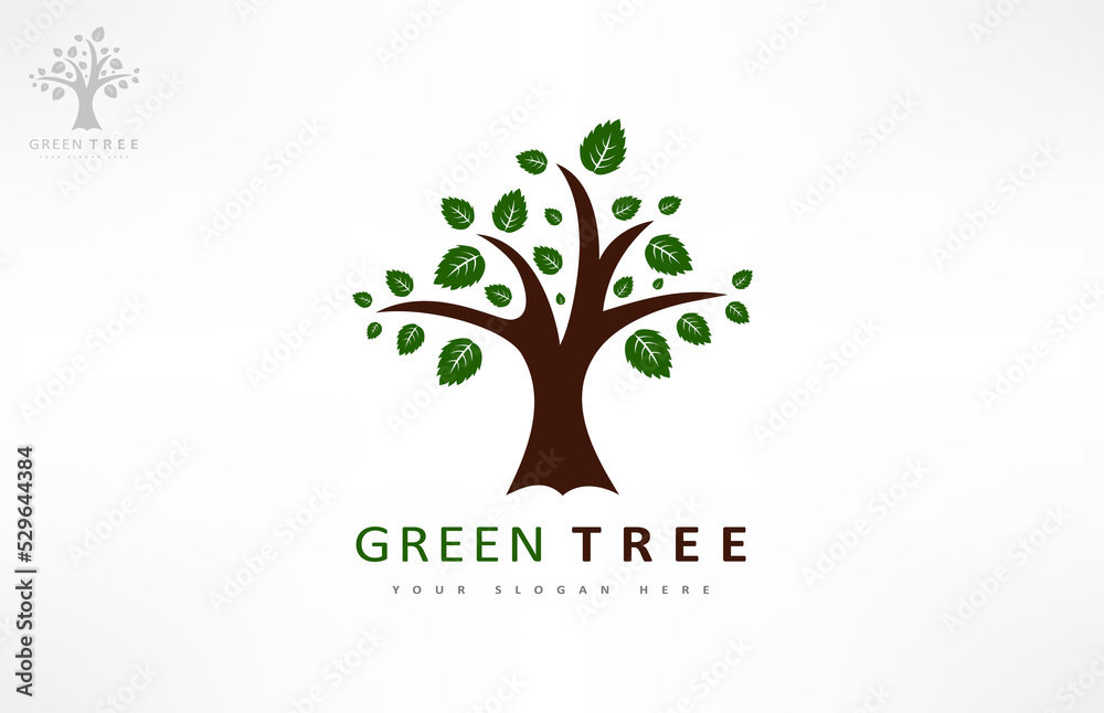 Tree logo vector. Plant Logo design vector nature illustration.