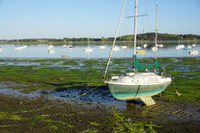 Boats In The Harbor At Low Tide In Brittany France