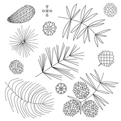 Set with cones and Christmas tree branches doodle illustration