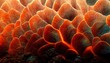 © Nordiah - Coral Reef texture in the ocean, vivid colors, tropical