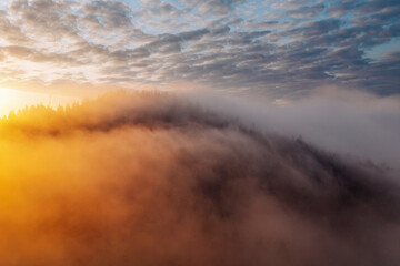 Photo Sur Toile - Magical thick fog covers the mountains in the rays of morning light. Carpathian mountains, Ukraine.