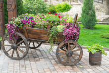 An Old Village Cart With Flowers In The Market
