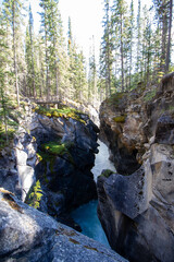 Kootenay Plains Ecological Reserve, AB