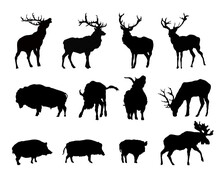Set Of Wild Animals Silhouettes, Deer, Boar, Moose, Bison