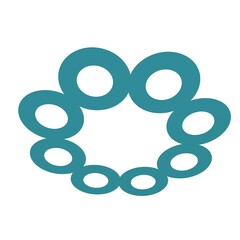 Poster - Circle decoration. Design of websites or programs.