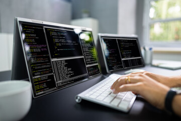 Poster - Developer Programmer Woman Coding Software
