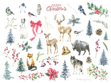 Merry Christmas Watercolor Animal Illustration Set. Deer, Fawn, Stag, Buffalo, Wolf, Fox, Birds, Bunny, Christmas Tree, Spruse,pine, Winter Forest Flora For Greeting Cards, Postcard, Invitation, Flyer