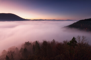 Wall Mural - sea fog in the pink light is very beautiful and fabulous, picturesque vague wave rolled on the slope