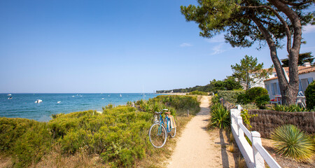 Wall Mural - Vieux vélo bleu sur un sentier en bord de mer sur l'île de Noirmoutier en France.