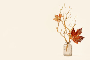 Wall Mural - red maple leaves on golden branches in a vase. Fall autumn minimal background. Copy space golden foliage seasonal backdrop. happy thanksgiving or hello autumn