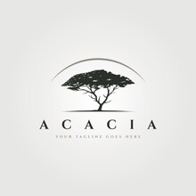 Acacia Tree Logo Vintage Vector Symbol Illustration Design, Old Tree Logo Design