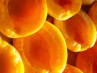 Apricot slices in the sun closeup