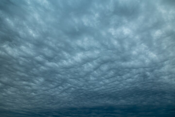 Wall Mural - clouds in the sky