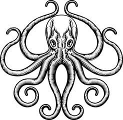 Wall Mural - Octopus or Squid Illustration